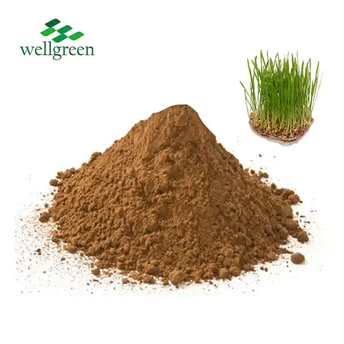 Wheat Grass Powder Organic